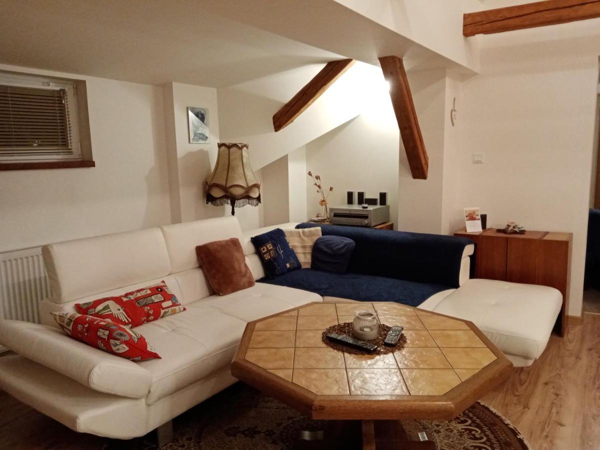 Apartment Krkonosska Tanvald Bagian luar foto