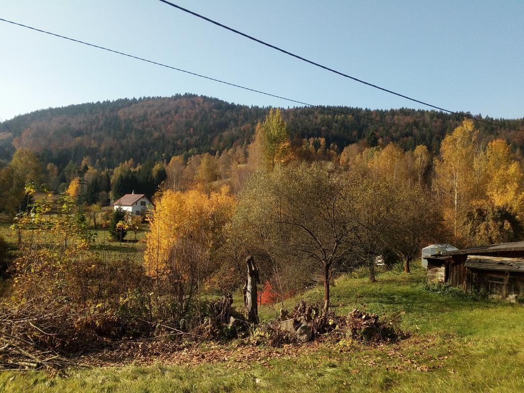 Apartment Krkonosska Tanvald Bagian luar foto