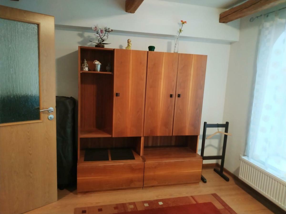 Apartment Krkonosska Tanvald Bagian luar foto